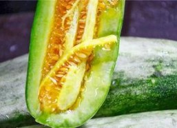 网红吃瓜网站最新,娱乐圈惊天大事件！