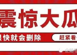 娱乐吃瓜八卦账号是什么