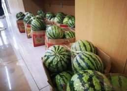 网红直播间吃的瓜,一场美食与八卦的盛宴